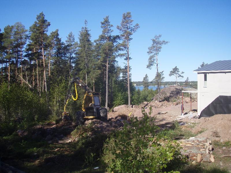 avverkning nedanfor husen 17 4.JPG - skogsavverkning nedanför husen